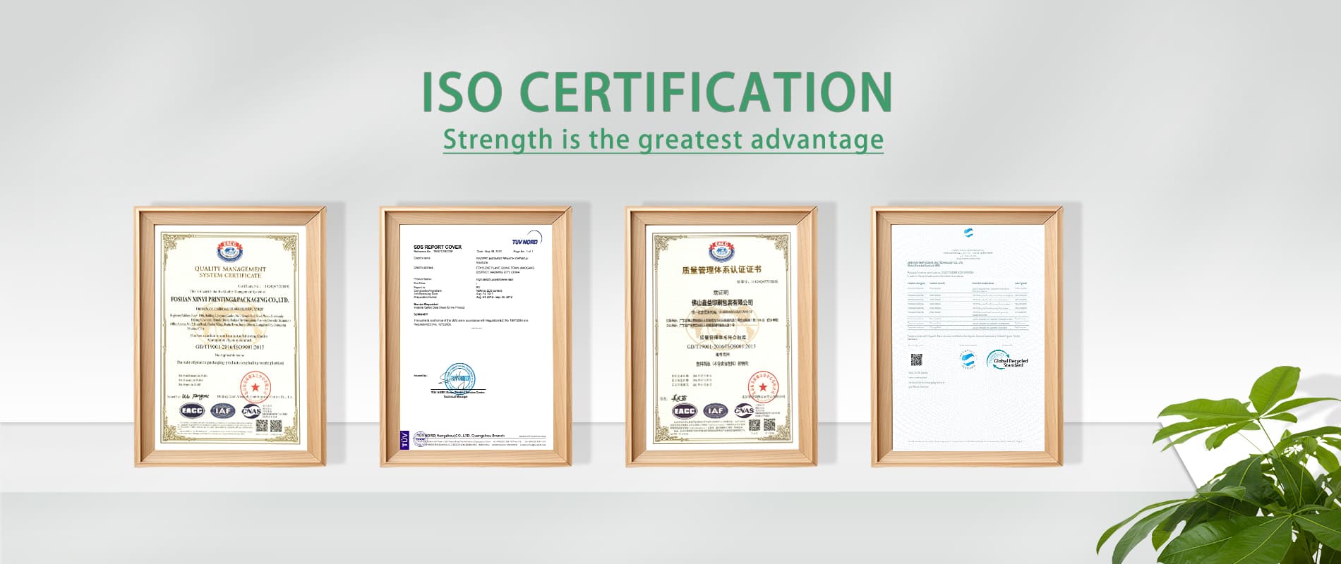 certificate of xinyi packaging - the trust worthy plastic packaging provider with good product and high quality